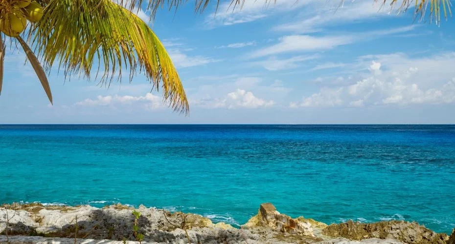 Cozumel Cruise Port Guide 2026