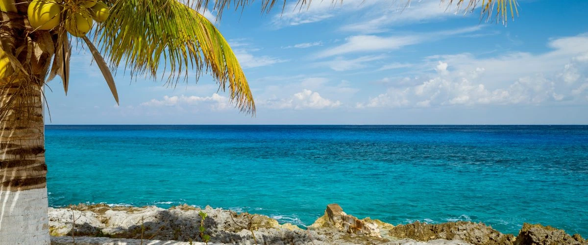 Cozumel Cruise Port Guide 2026
