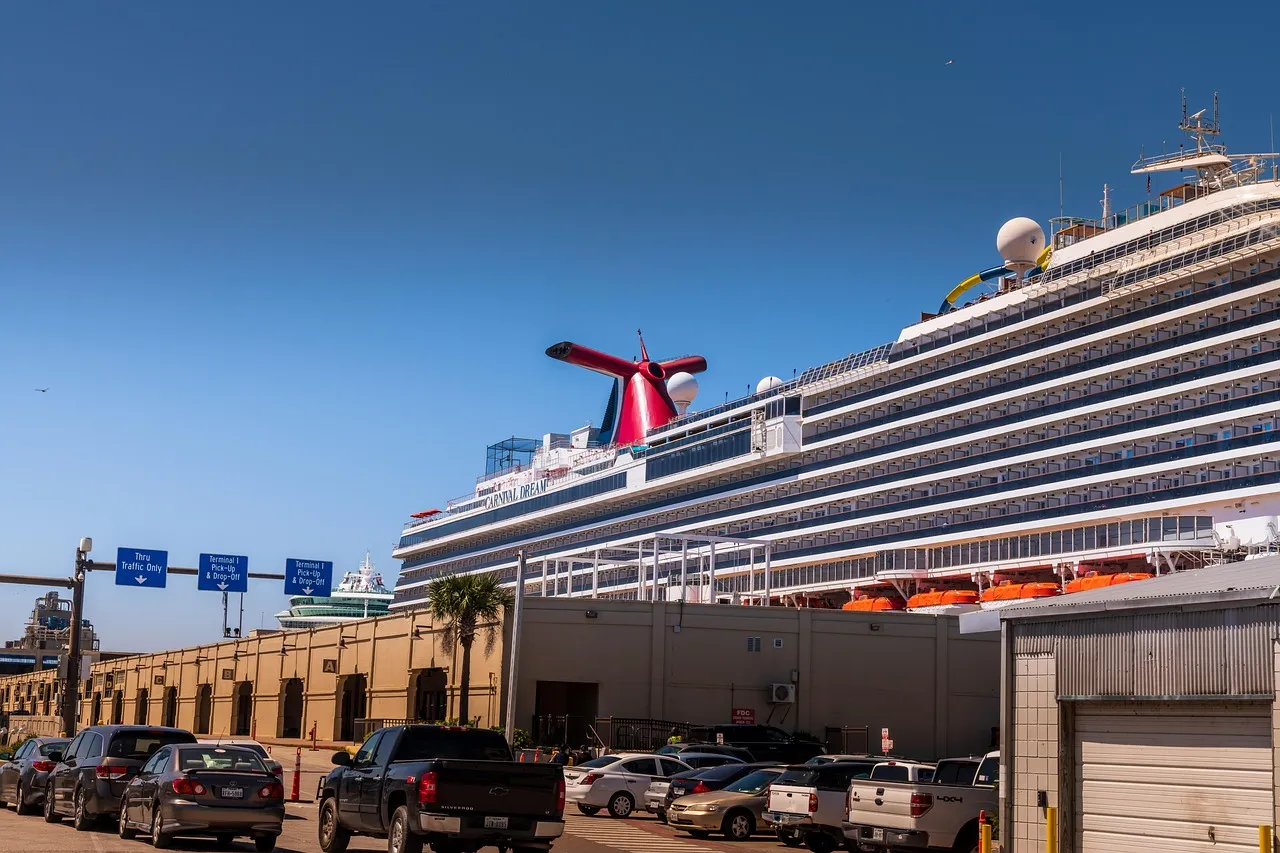 Cruise Terminal Tips