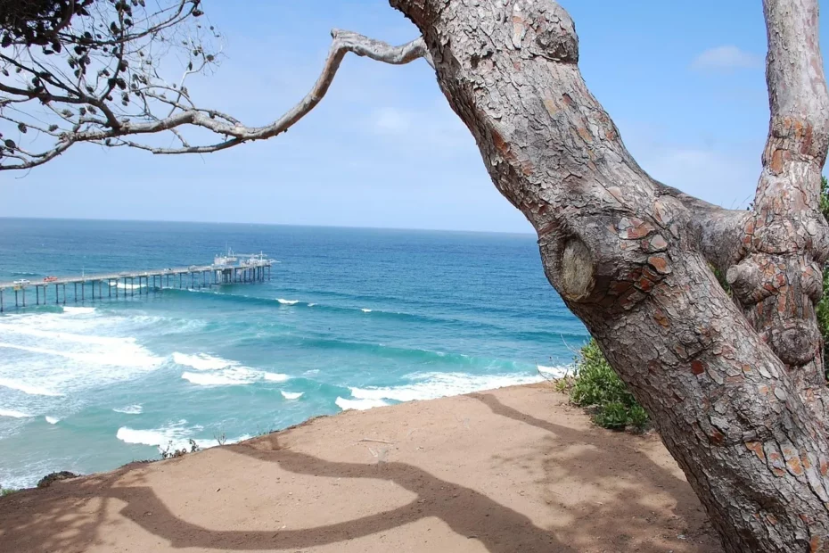 San Diego Hotel Stay: Poolside Getaway with Attractions